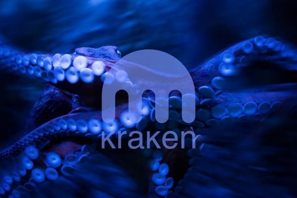 Kraken tor link