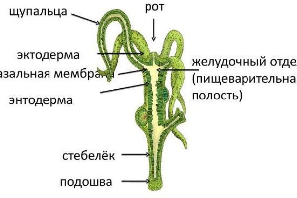 Кракен маркетплейс что это