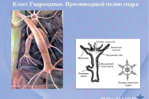 Кракен как проверить зеркало