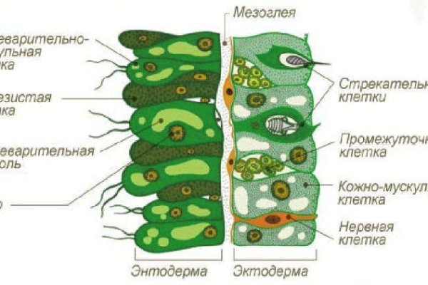 Кракен плейс