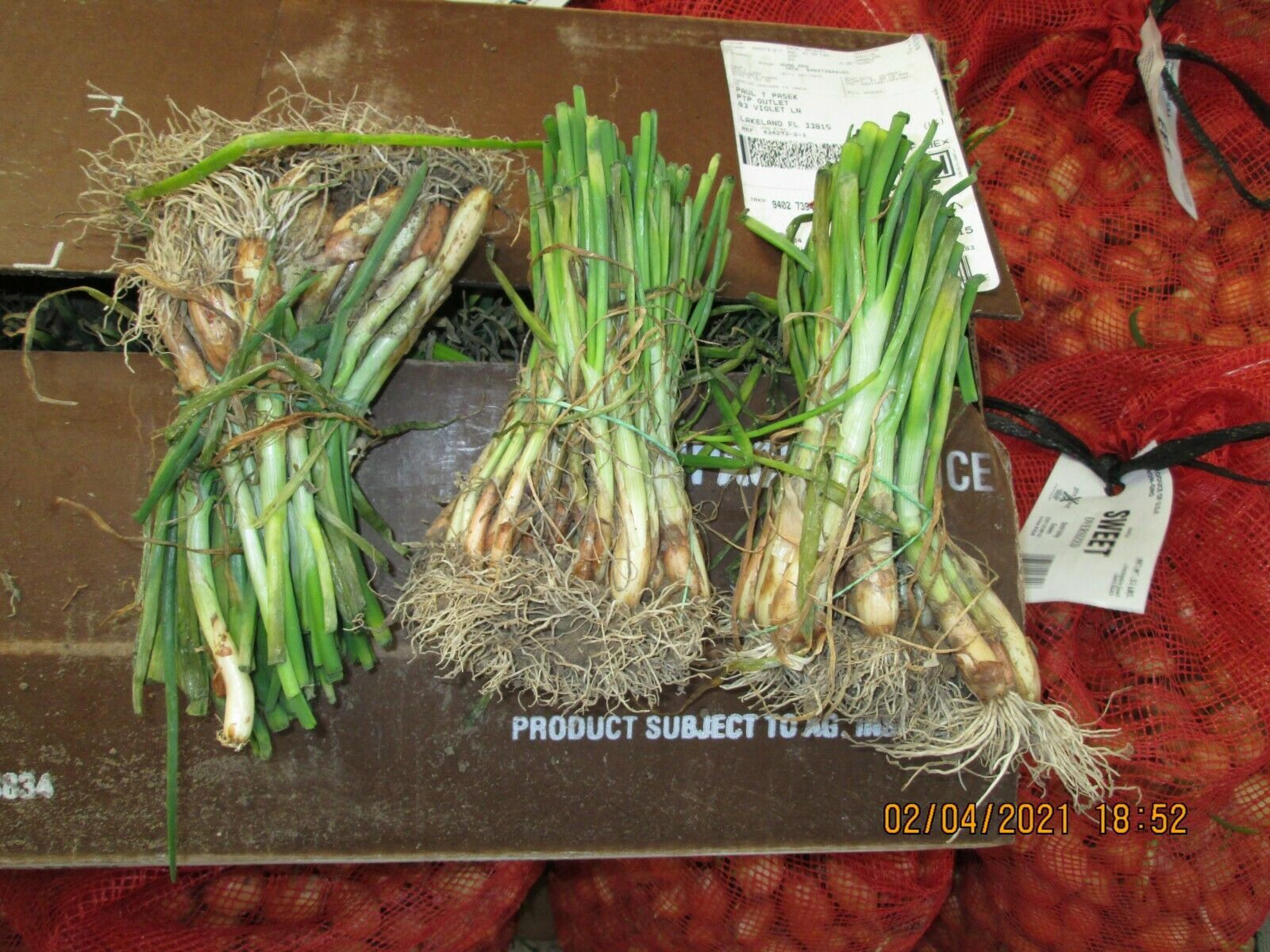 Кракен ссылка trikky